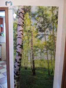 Panele Szklane Hartowane Przedpokoj Grafika Fototapeta Obraz Szklo Szyba Las