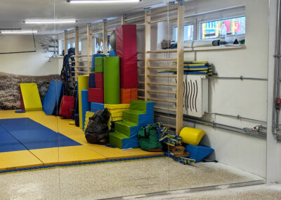 Lustro Do Sali Gimnastycznej Z Montazem Krakow