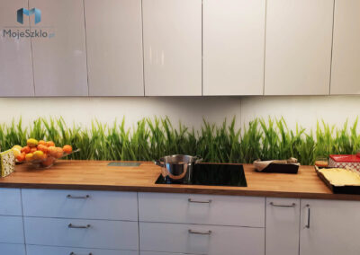 Szyby Do Kuchni Adobe Stock Trawy