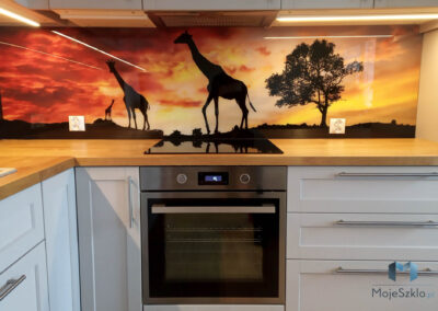 Szyby Nad Blatowe Sawanna